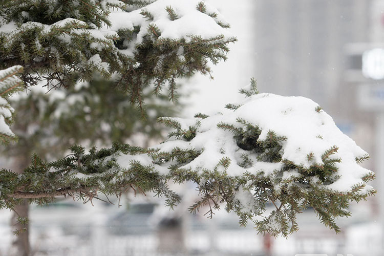 Snow expected in late September